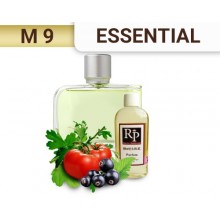 Lacoste «Essential»