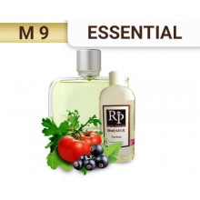 Lacoste «Essential»